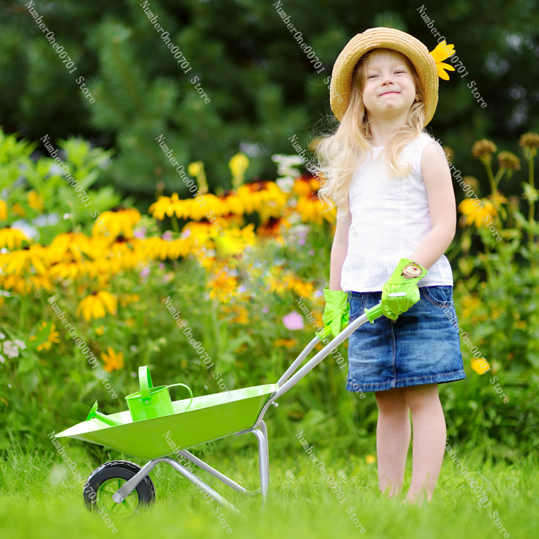 Brouette d'extérieur pour enfa - Kids Outdoor Toys avis et prix
